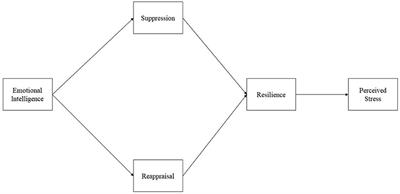 Preventing Stress Among Undergraduate Learners: The Importance of Emotional Intelligence, Resilience, and Emotion Regulation